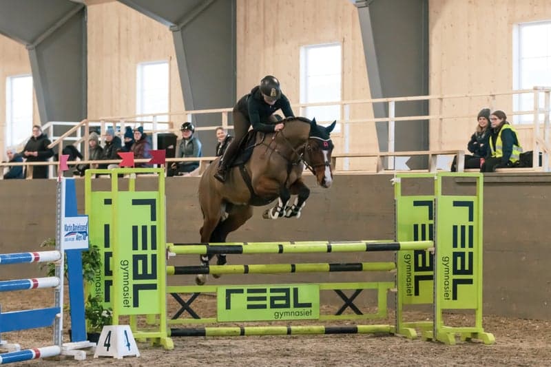 Bild 2 av Royal cassili