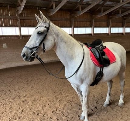 Image 1 of Adriana M