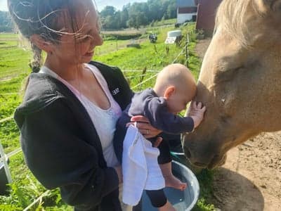 Inlägg 2 av Quarterhäst med titeln Världens bästa barnhäst ❤️👶