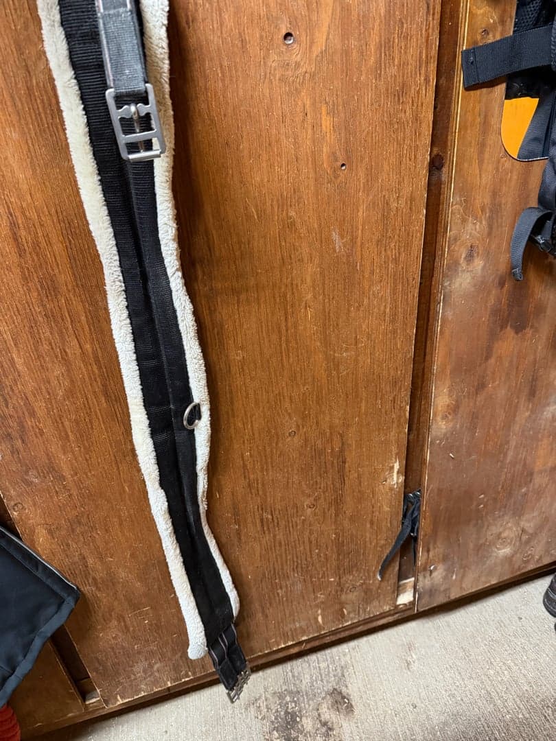 Bild 1 av Svart sadelgjord 135