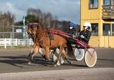 Inlägg 52 av Trav