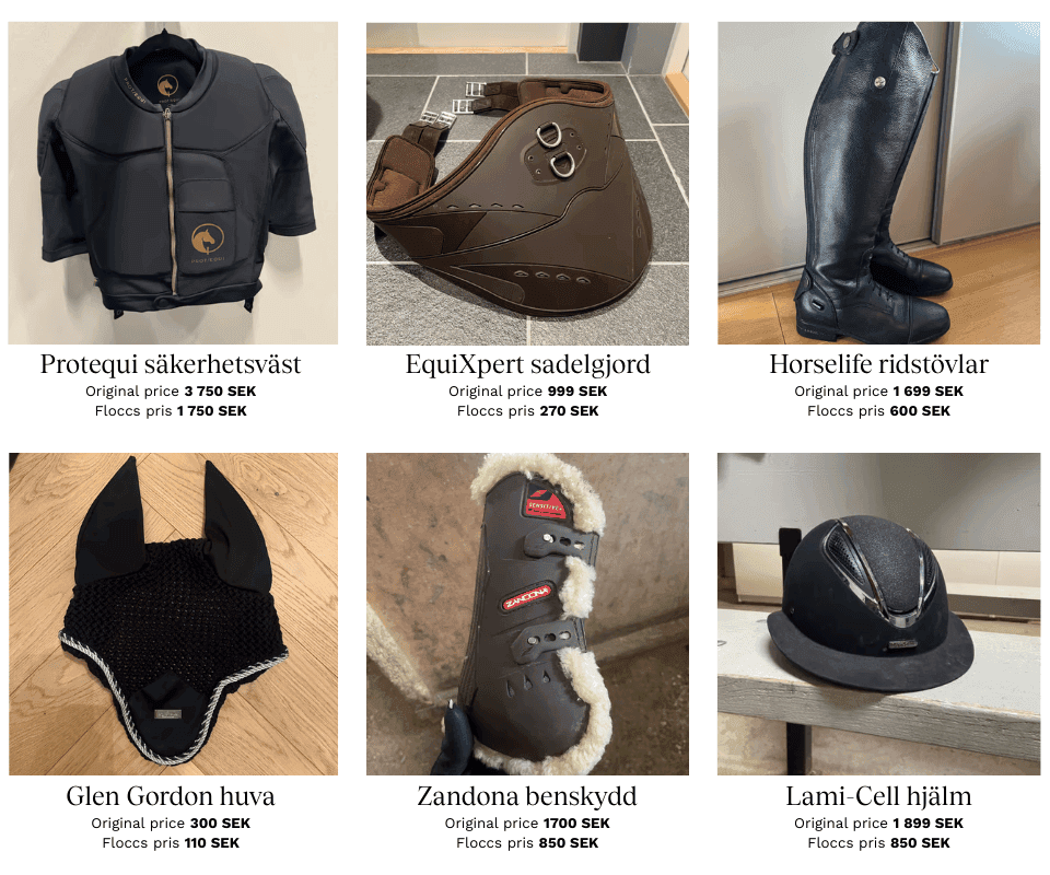 Shop pre-loved horse riding gear at unbeatable prices! Discover second-hand safety vests, saddles, saddle girth, helmets, ear bonnet, leg protectors and more – handpicked quality from Floccs’ sustainable marketplace.