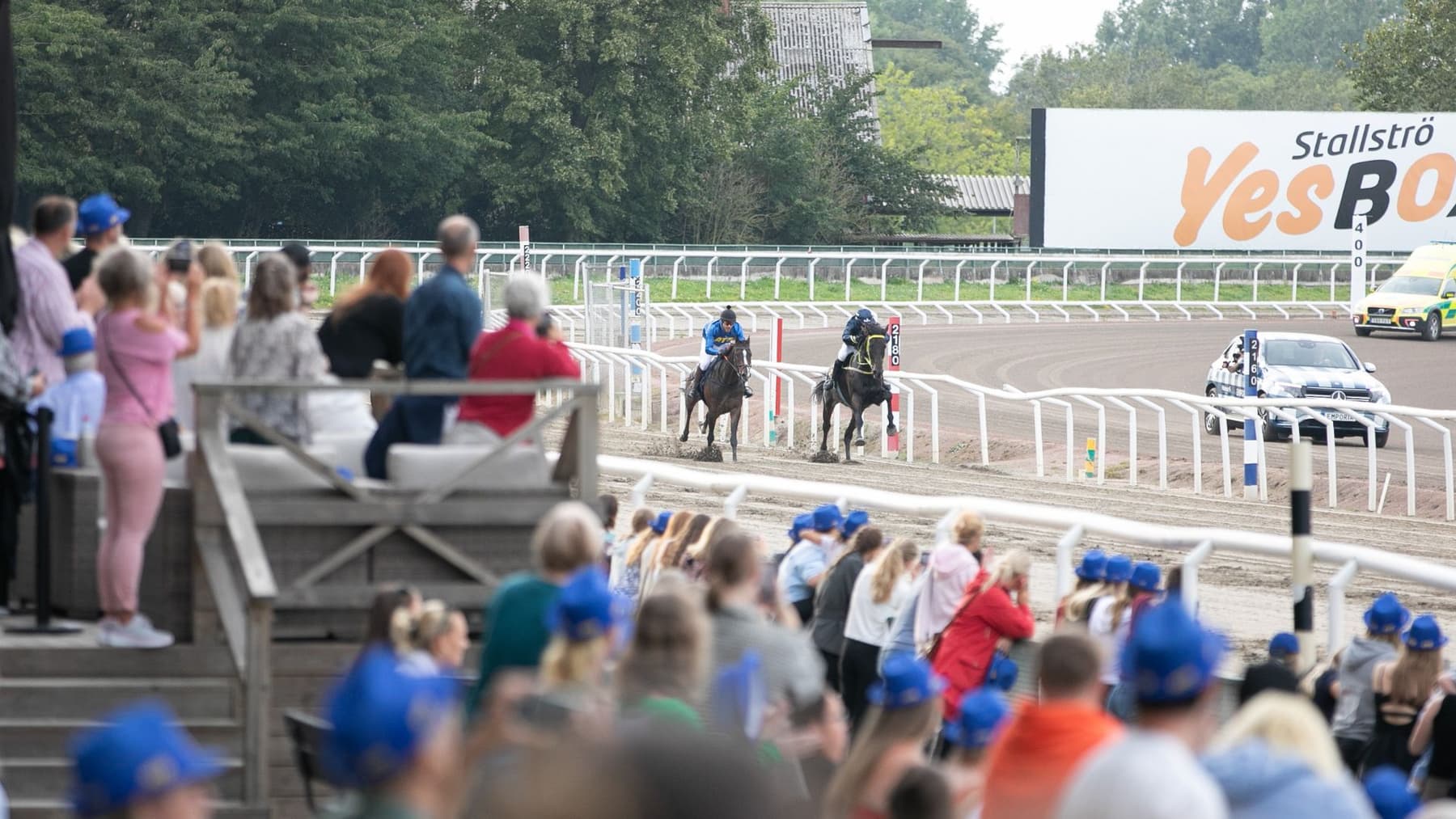 pony galop, jägersro