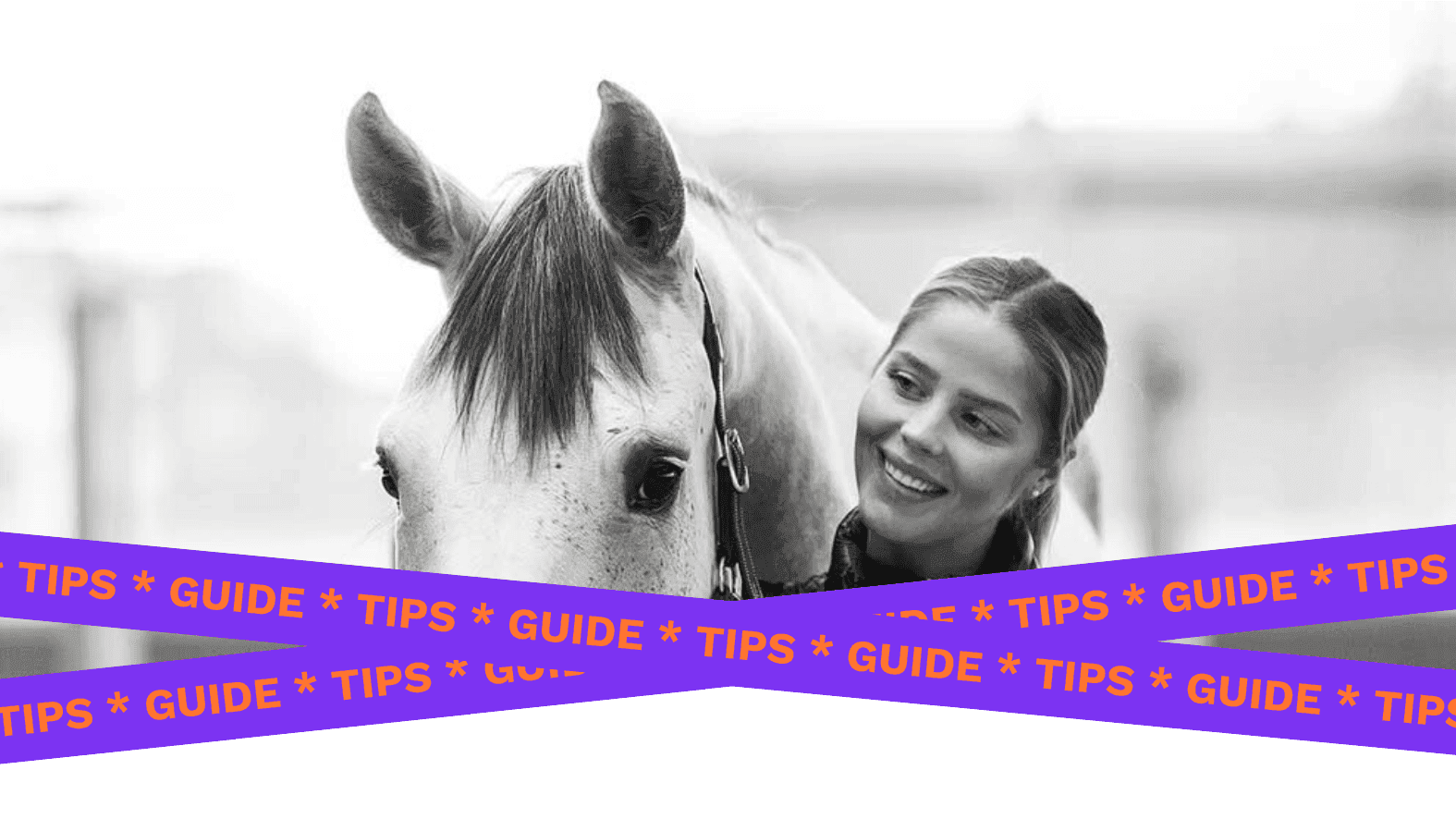 Selma Hammarström with her competition horse – create your own horse profile on Floccs to showcase your horse’s achievements, photos, and story. Ideal when preparing for a sale or sharing your equestrian journey.