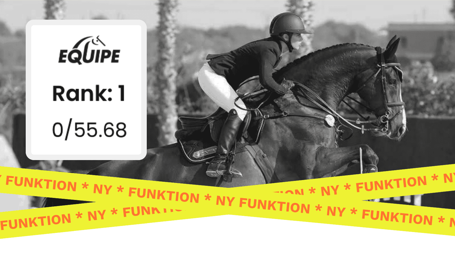 View, find and share all your horse's Equipe results on Floccs by verifying the horse's license number and registration number.