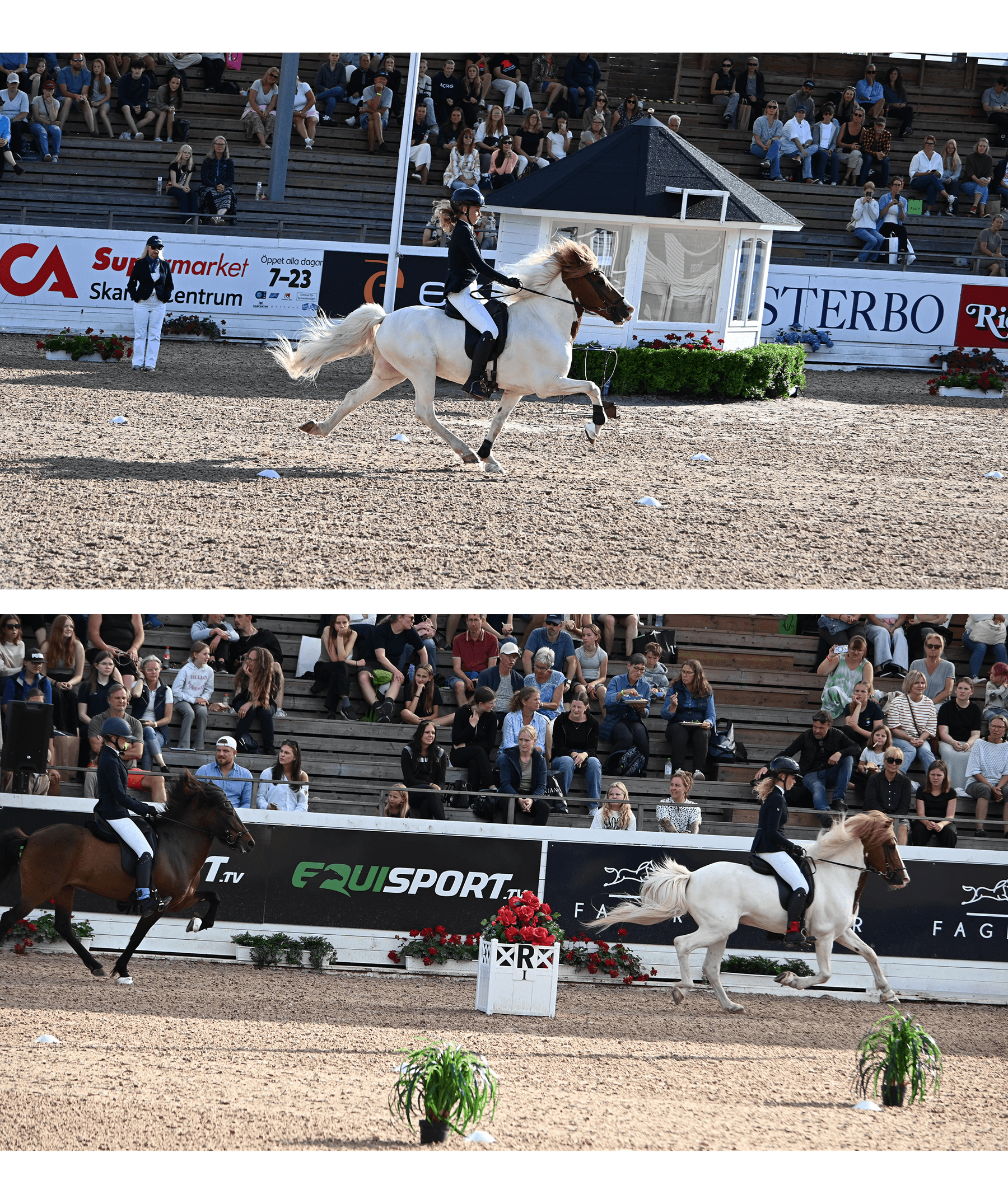 – tog andraplats i T1 ungdom och vann showpassen med sitt lag bland islandshästarna.