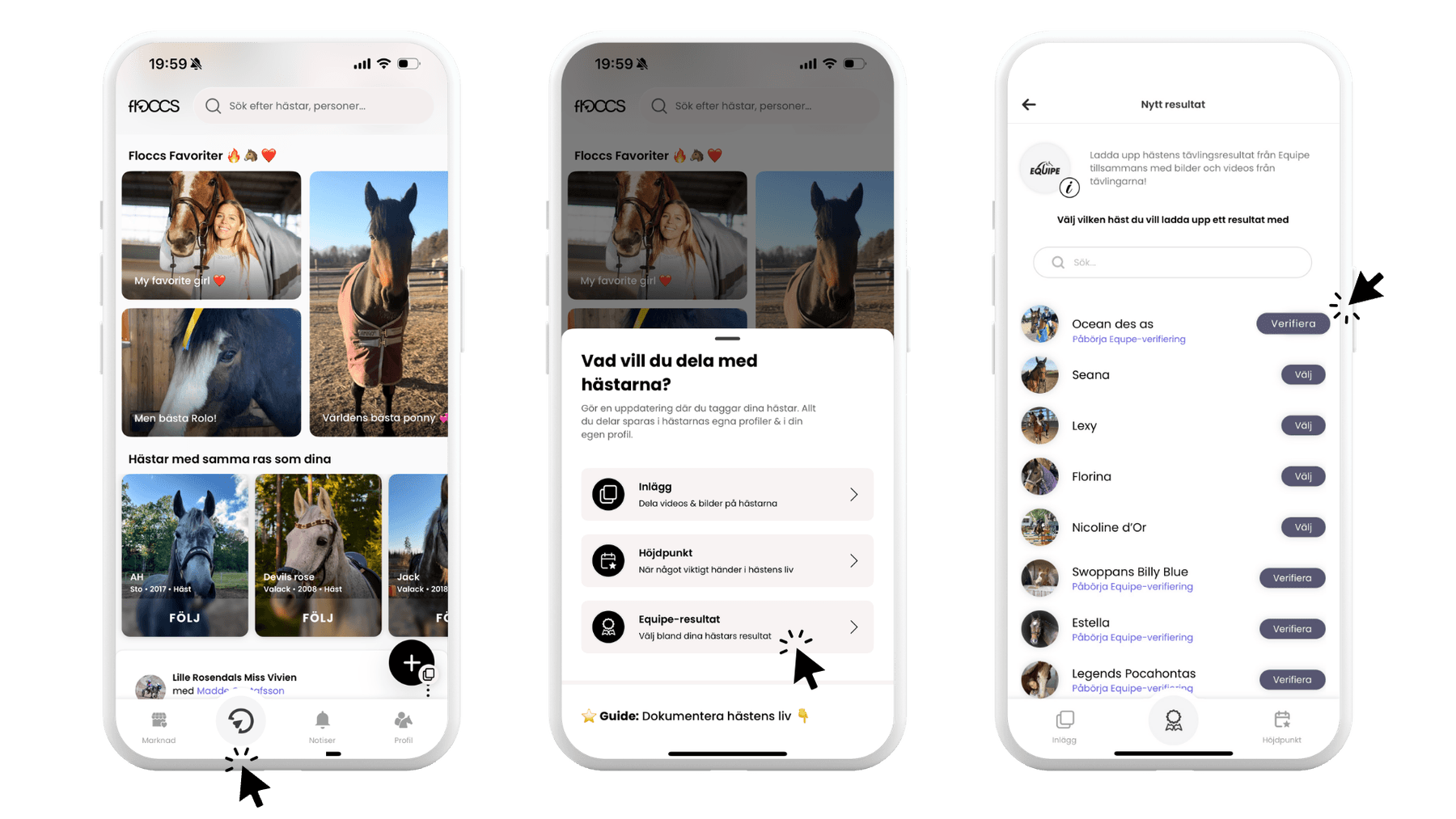 How to verify your horse's Equipe results on Floccs