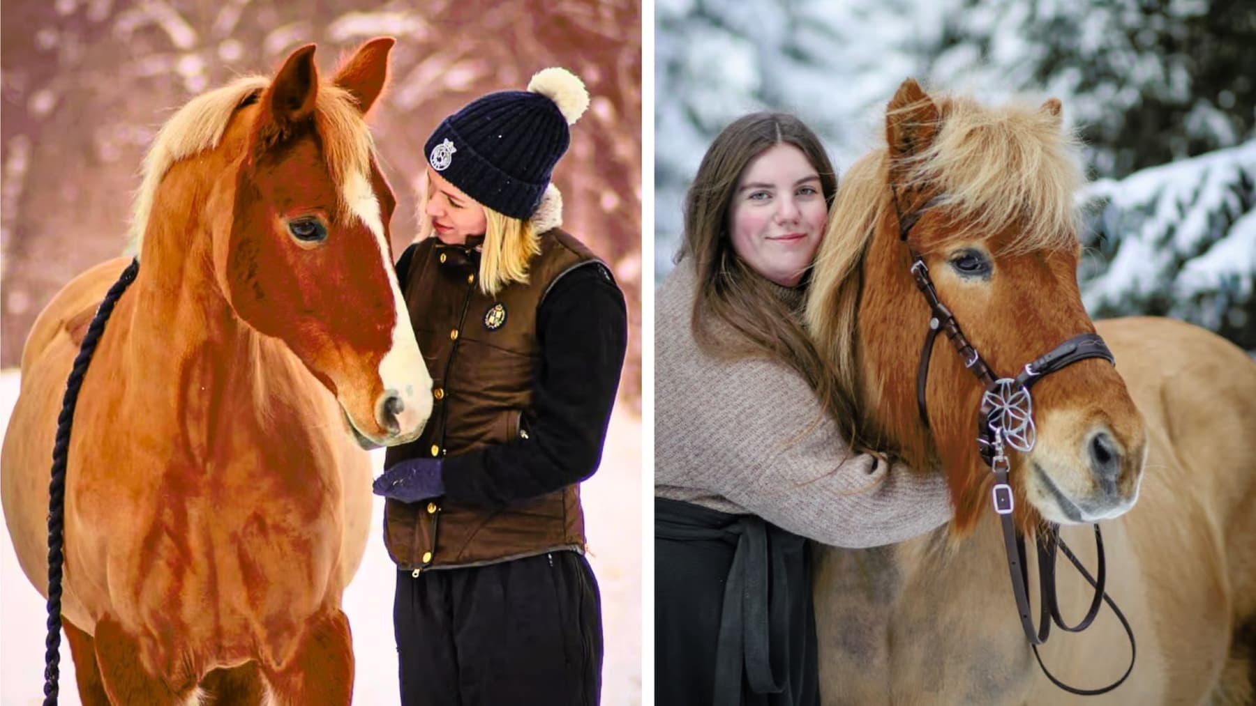 Vinterfotografering med hästar