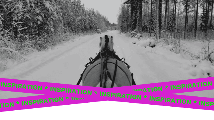 Beautiful winter horse photos on floccs