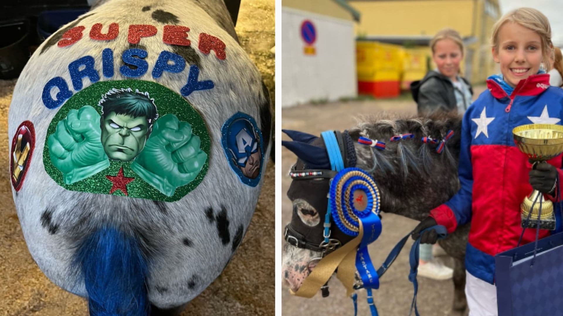 best made horse, horse superhero, pony super hero