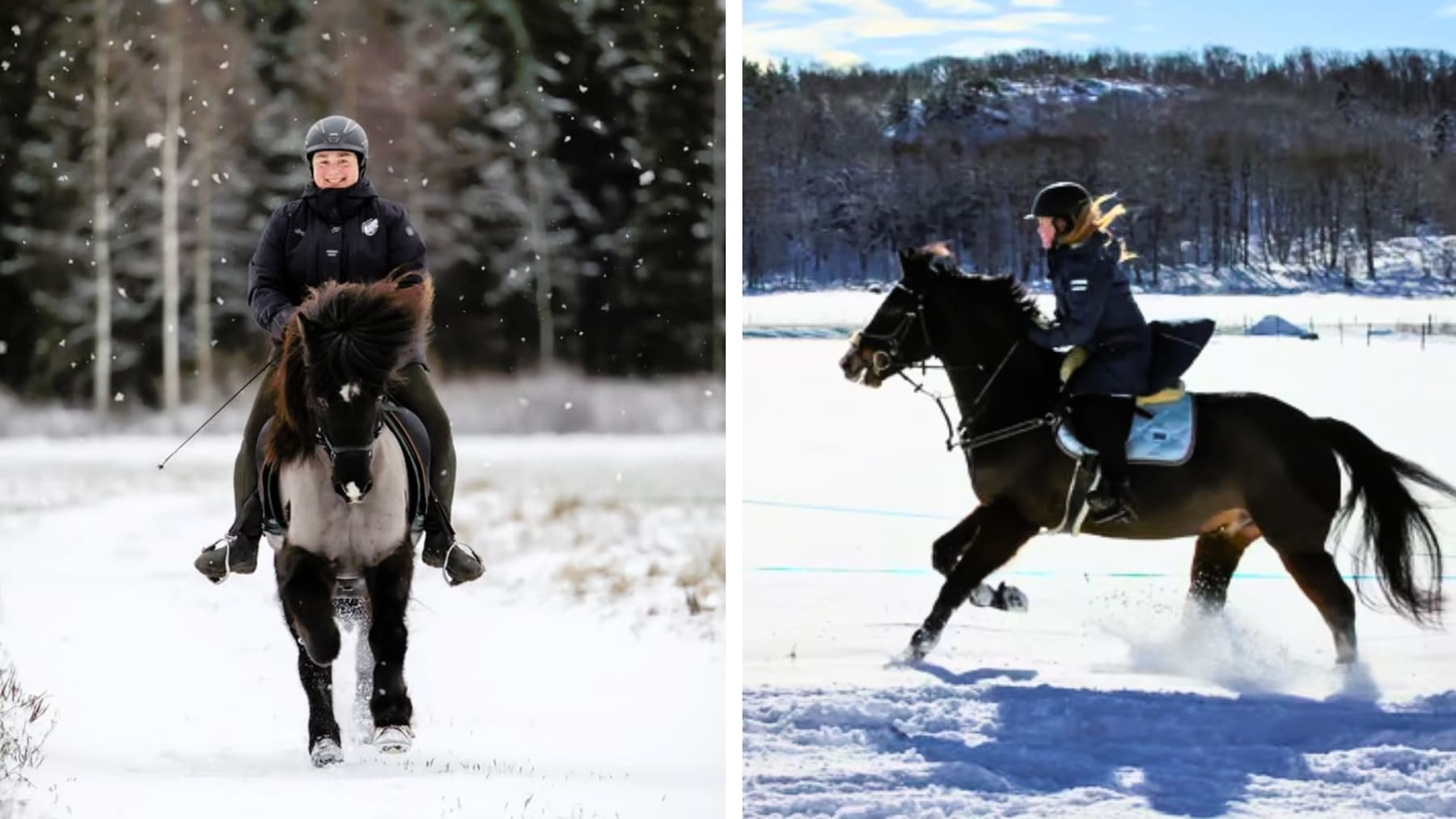Winter Horseback Trail Riding Through Deep Snow