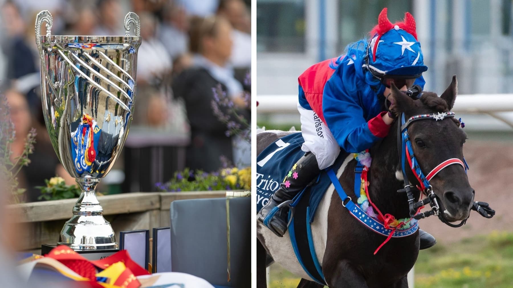 Ellen Hammarström, jägersro travbana, Harness racing with harness horse