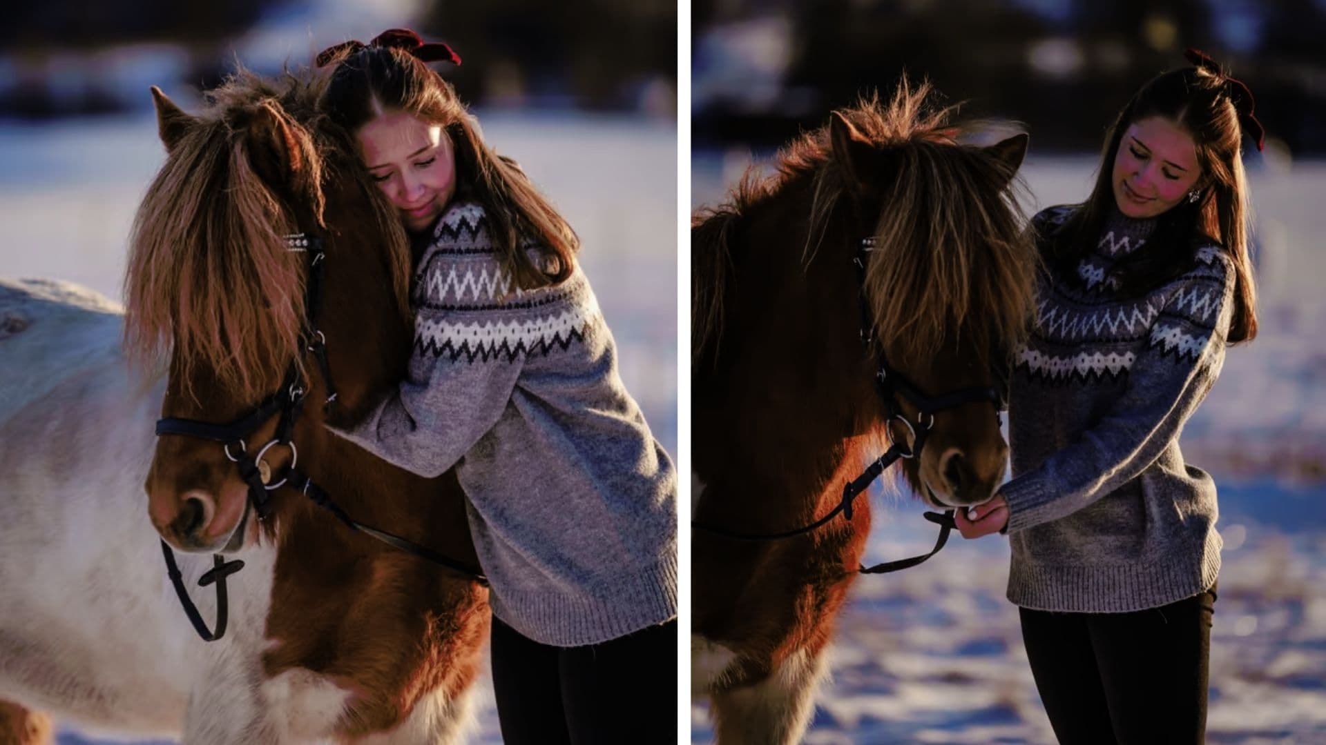 Horse photographer winter